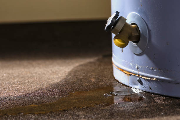 Best Mold removal after water damage  in Groesbeck, OH
