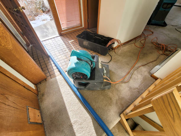 Best Professional water damage repair  in Groesbeck, OH