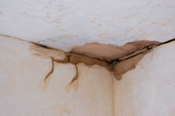Best Local water damage restoration  in Groesbeck, OH