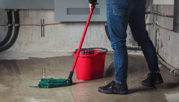 Best Water damage cleanup near me  in Groesbeck, OH