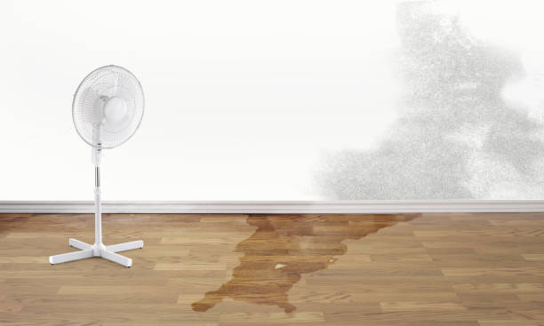 Best Residential water damage restoration  in Groesbeck, OH